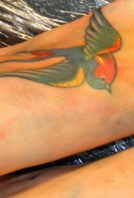 女性脚背多色的燕子纹身图案