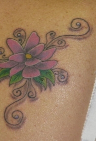 肩部彩色紫罗兰花朵纹身图案