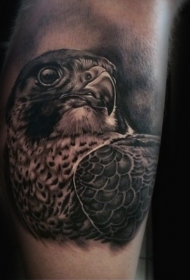 写实细致的鹰头腿部纹身图案