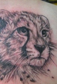 灰色豹头纹身图案