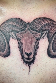 精致的大角山羊头部纹身图案