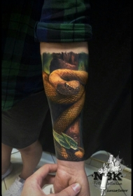 手臂现实主义风格的彩色大蛇和树叶纹身