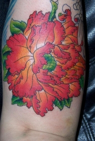 手臂彩色逼真的兰花纹身图片
