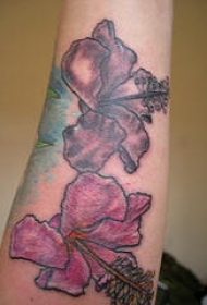 手臂彩色暗紫色木槿的纹身图案