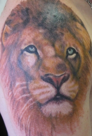 肩部彩色逼真的狮子纹身图案
