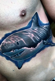 腹部彩色水中的巨型鲨鱼纹身图案