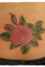 腰部简单的小粉红玫瑰纹身图片