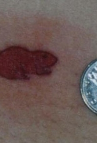 手臂简约小红色海狸纹身图片