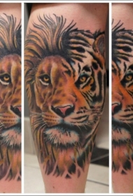 腿部彩色半狮半虎纹身图案