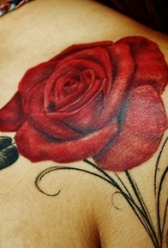 女性肩部简约彩色玫瑰纹身图片