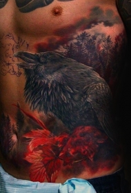 腹部彩色逼真大乌鸦与暗森林纹身