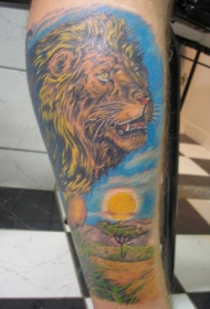 腿部彩色草原上的狮子纹身图片
