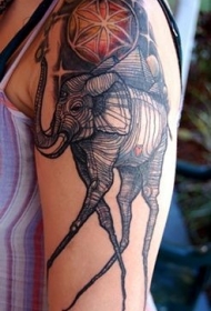 肩部彩色线条大象纹身图案