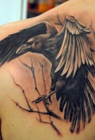 黑棕色肩膀乌鸦纹身图案