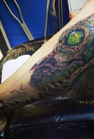 腿部彩色逼真的大鳄鱼纹身图案