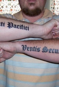 男性Pacifici ventis字母纹身图案