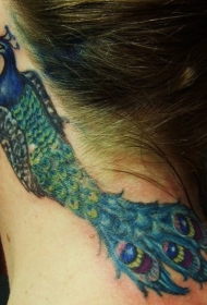 女性耳朵后根彩色孔雀纹身图案