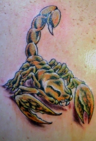 背部彩色现实的金蝎纹身图案