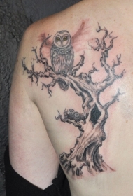 树上的猫头鹰肩部黑灰纹身图案