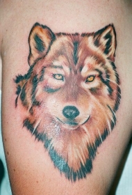 肩部棕色严肃的红狼纹身图案