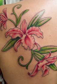 女性肩部彩色粉红兰花纹身图案
