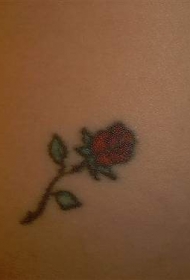 手臂背部小清新小玫瑰纹身图案