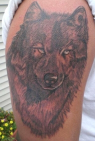 肩部上棕色盲狼头纹身图案