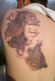 背部棕色三狼和月亮纹身图案