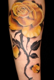 手臂彩色逼真的黄玫瑰纹身图案