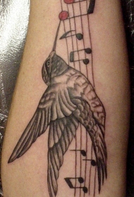 手臂灰色音符和蜂鸟纹身图案