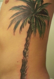 男性腰侧彩色逼真棕榈树纹身图案