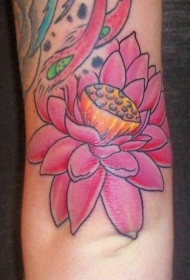 女性手臂彩色粉红莲花纹身图案
