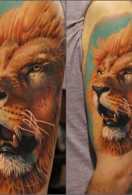 肩部彩色现实主义风格吼叫狮子纹身