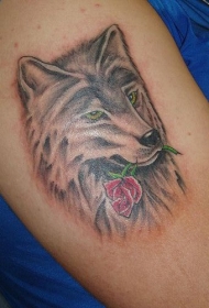 女性手臂彩色狼和玫瑰纹身图案