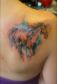 肩部好看的水彩马纹身图案