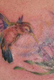 肩部彩色蜂鸟与花纹身图片