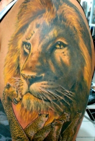 肩部彩色狮子王与豹色纹身图片