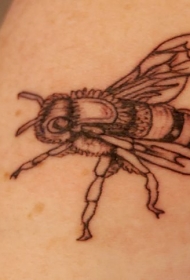 腿部棕色单色逼真蜜蜂纹身图案