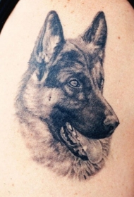 肩部黑灰逼真的德国牧羊犬纹身图案
