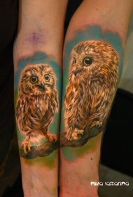 手臂彩色现实主义风格猫头鹰纹身图案