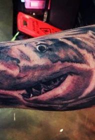 腿部棕色大鲨鱼腿纹身图案