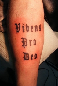 腿部vibens PRO DEO字母纹身