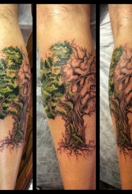 令人惊叹的彩色孤独树与叶子纹身图片