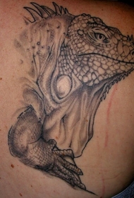 肩部黑灰蜥蜴爬行动物的纹身图案