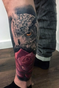 腿部彩色逼真的猫头鹰与玫瑰纹身
