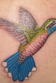 肩部逼真的彩色蜂鸟纹身图片