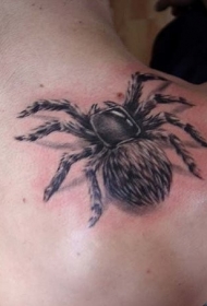 肩部3D毛茸茸的蜘蛛纹身图案