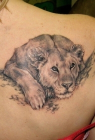 肩部灰色休息的母狮纹身图案