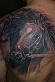 肩部棕色逼真的马纹身图案