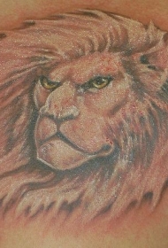 背部棕色愤怒的狮子头纹身图案